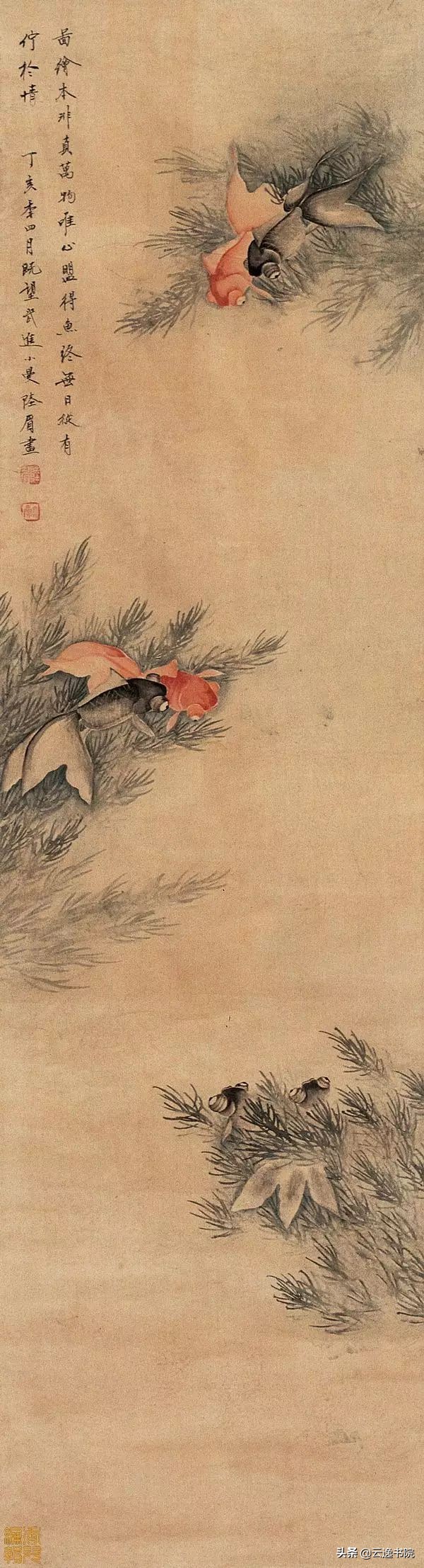 民国最美六大美人,民国才女气质美如兰