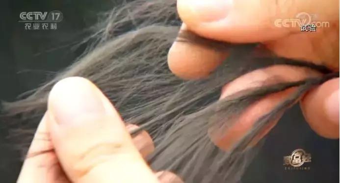 年过花甲，他重回“鬼门关”，抓出上亿黄金财