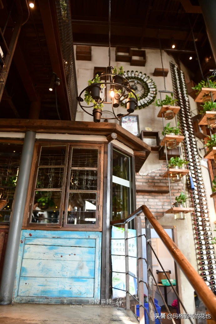 网红餐厅“胡桃里”的绿植布置|行摄