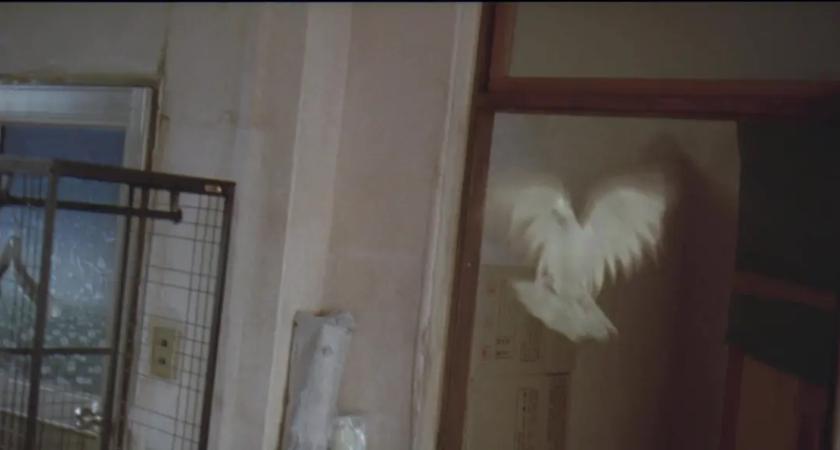 小混混爱上智障女，两个残疾人的性欲与爱情，都被它展现得很刺骨