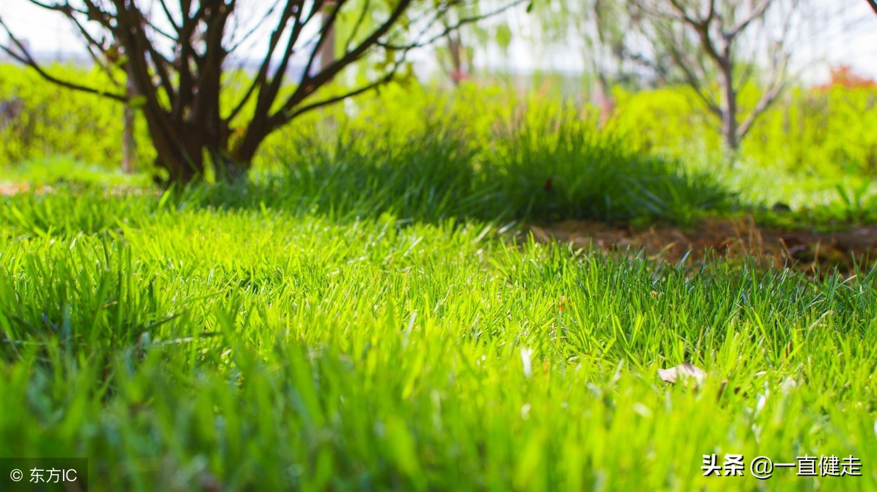 一目了然——《诗经》（256——265）