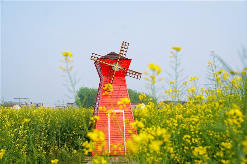 我和宿州有个约会，一场花事，一次慢旅行，探寻最烟火的宿州味道
