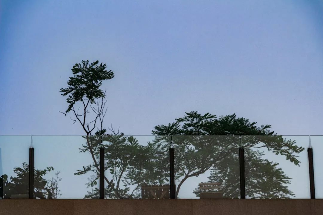 深圳风景最好的岛,深圳有个什么旅游岛