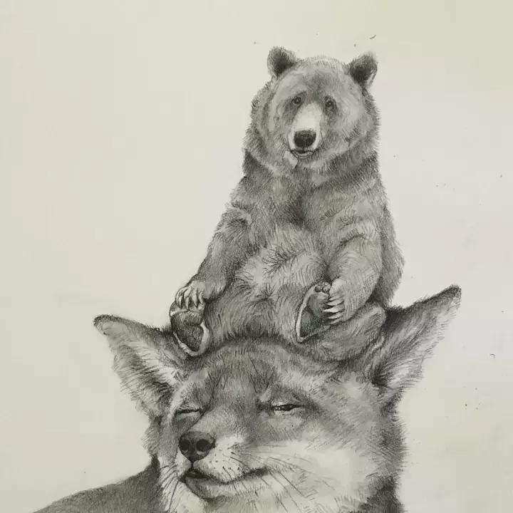 好看的动物素描,一看就会的动物素描