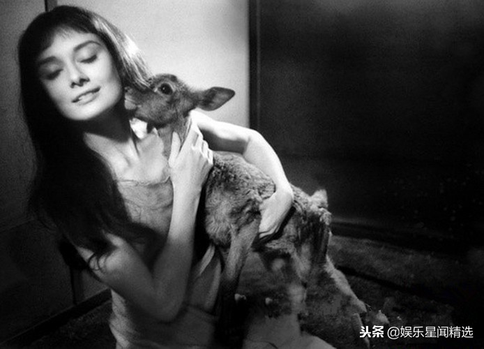 完美女人赫本：在厨房里一丝不苟，小动物们的好朋友，每天午睡！