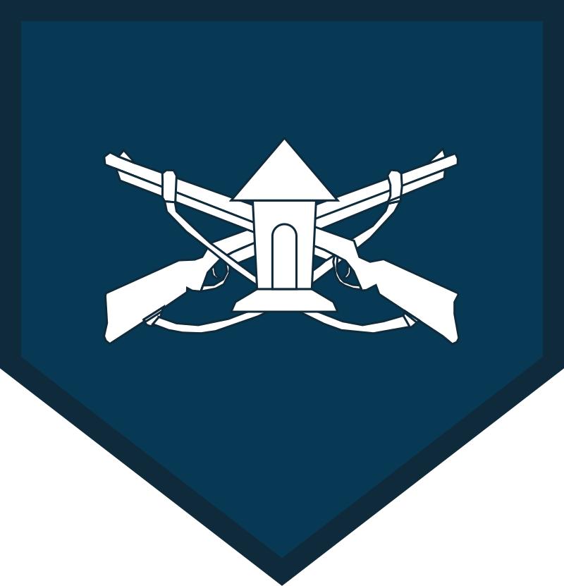 巴西军衔图片,各国军衔标识俄罗斯