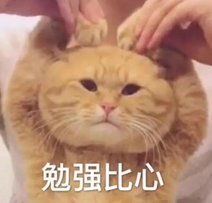 “做公关被长辈认为是陪酒女…”网友评论扎心了！