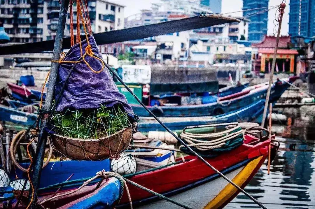厦门旅游攻略自由行美食,厦门旅游景点特点美食自由行