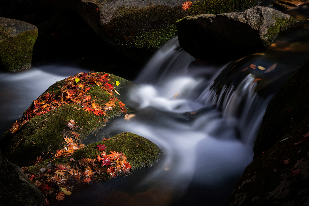 索尼公开赛旅行类获奖作品,索尼大赛获奖作品图片