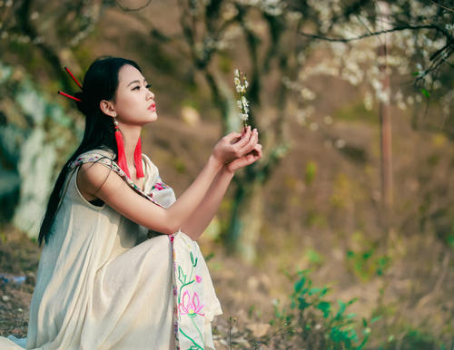 唐诗宋词是怎样描写梅花的,花中四君子描写梅花的诗句大全