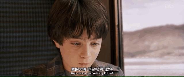 为什么哈利波特没有和赫敏在一起,为什么希望哈利波特和赫敏在一起