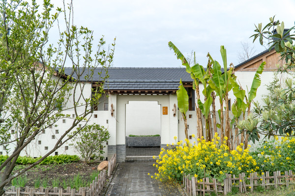 踏春赏花拍美景,踏春赏花逛湖