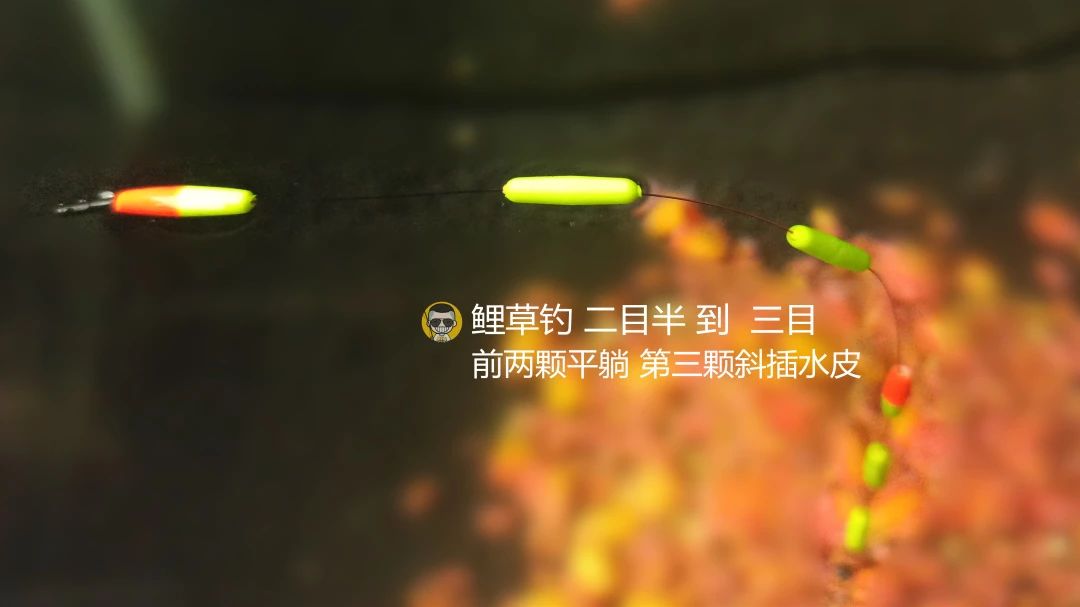 逗钓实操调漂技巧图解大全,钓鱼传统钓法是怎么调漂的