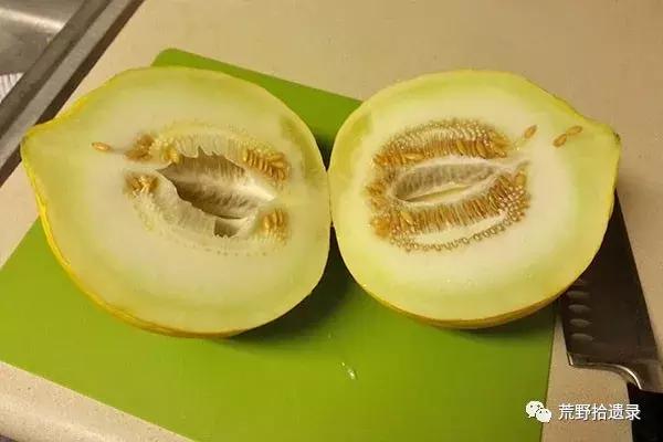 四川适合种植哈密瓜甜瓜品种,甜瓜种植技术新疆哈密瓜