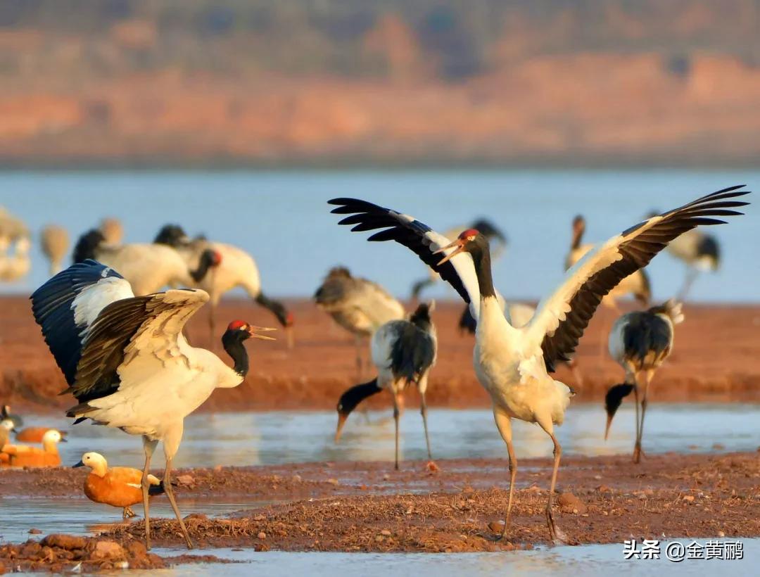 为什么云南女人长相好看,云南真的很漂亮吗