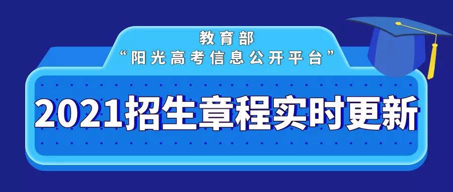 四川文化艺术学院2021年招生名额,四川文化艺术学院招生简章2023