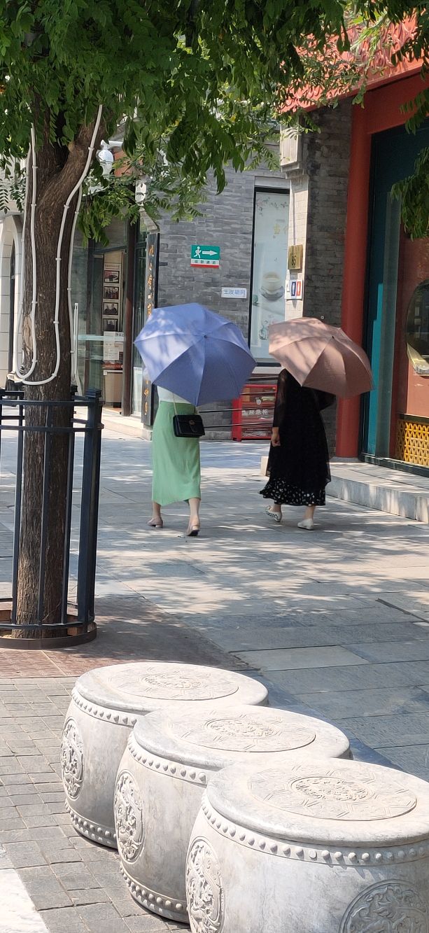 散文女人的一生,散文女人的优雅全文