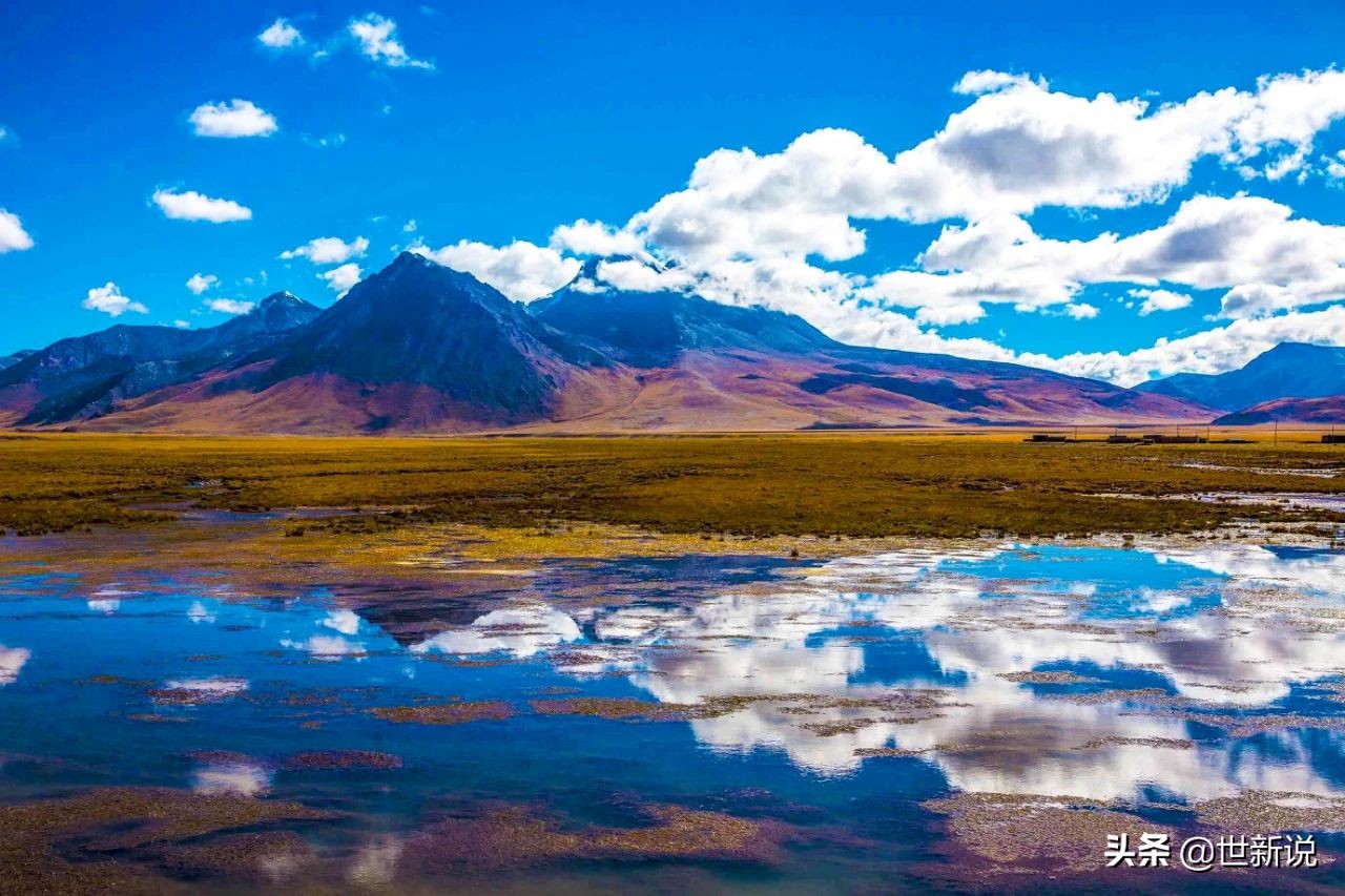 鍏ヨ棌绗簩澶╁氨鎸戞垬5鍗冨娴锋嫈闆北,娴锋嫈2000澶氬氨鏈夐珮鍙嶈兘鍘昏タ钘忓悧