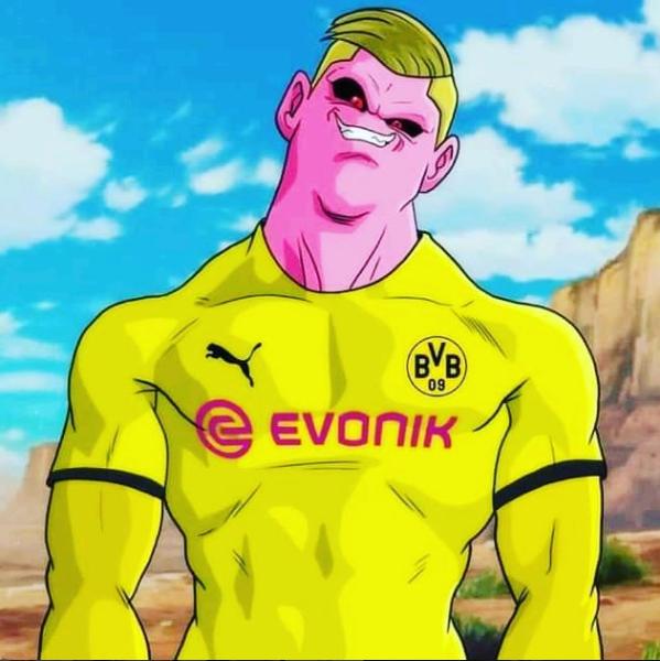 足坛十大神锋哈兰德,足坛新星哈兰德崭露头角