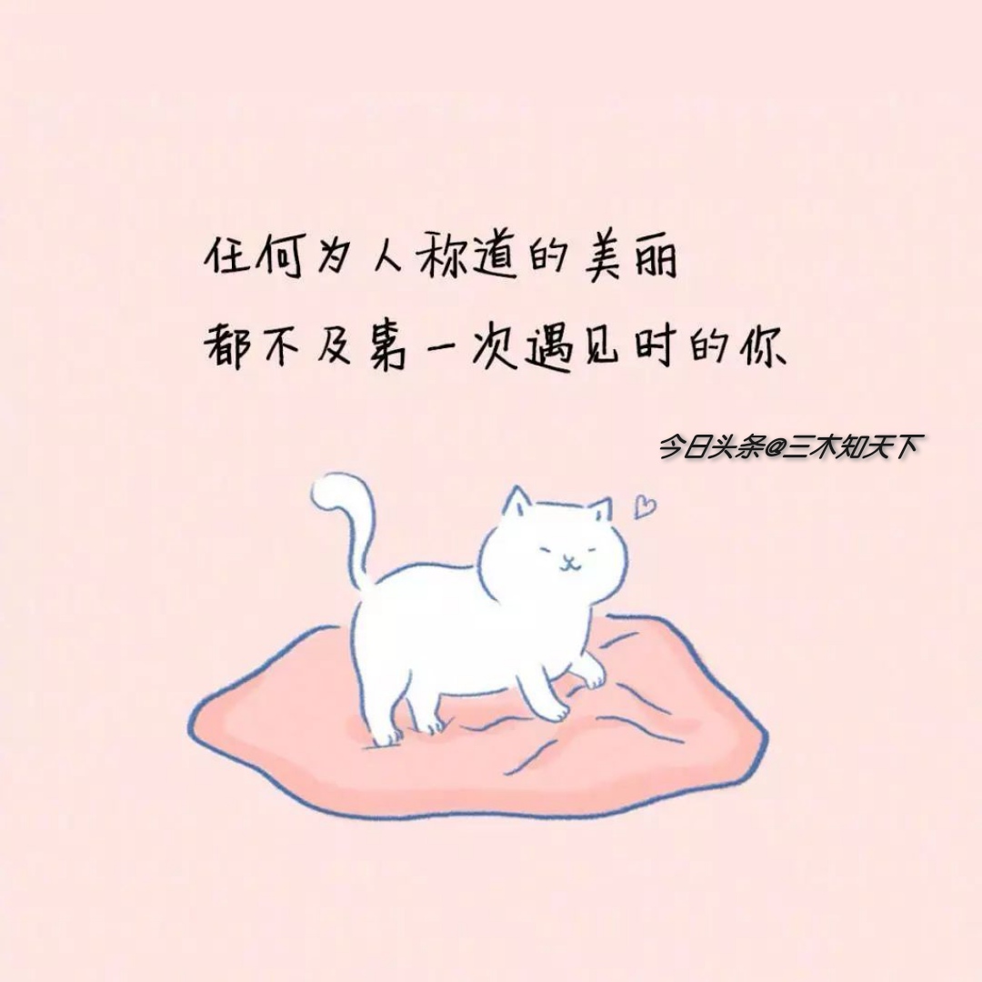 原来说过的情话都是谎言,还记得当初说过的情话