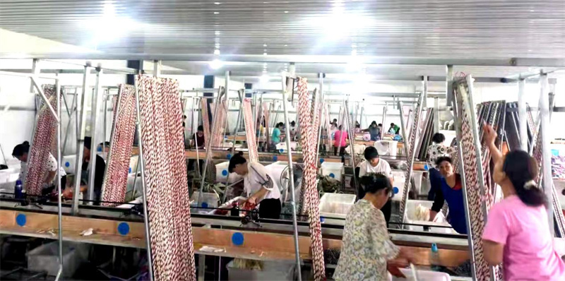 睢宁乡村振兴,江苏省徐州睢宁农业示范区