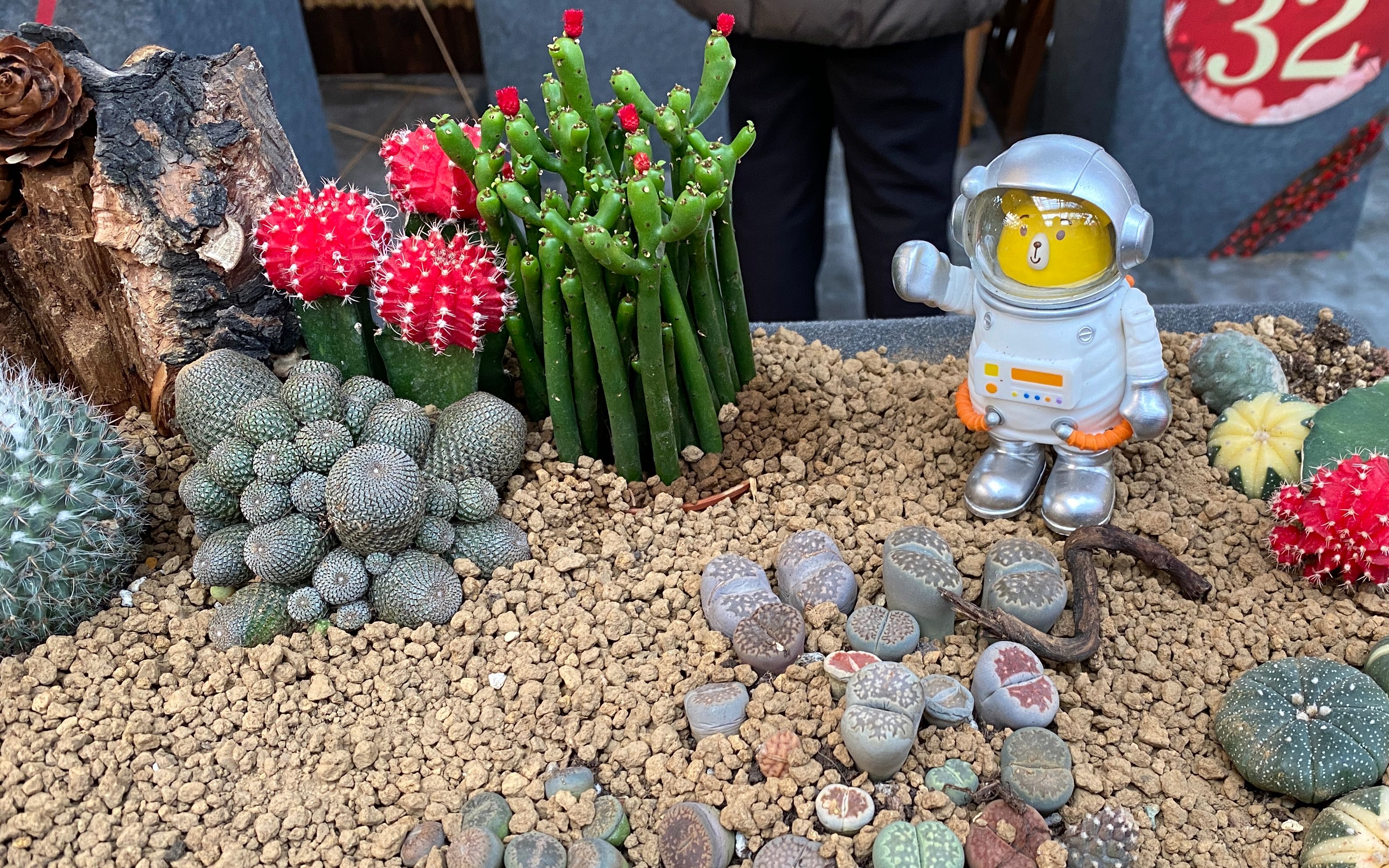 北京年宵花产业介绍,北京年宵花产业源头