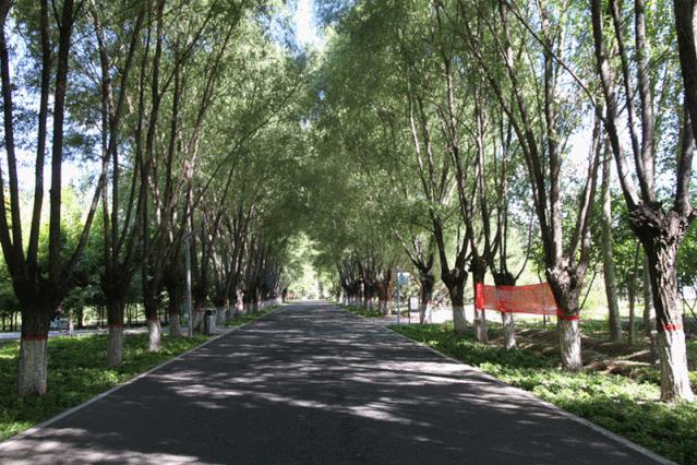 包头市新花海景点,包头最美的地方