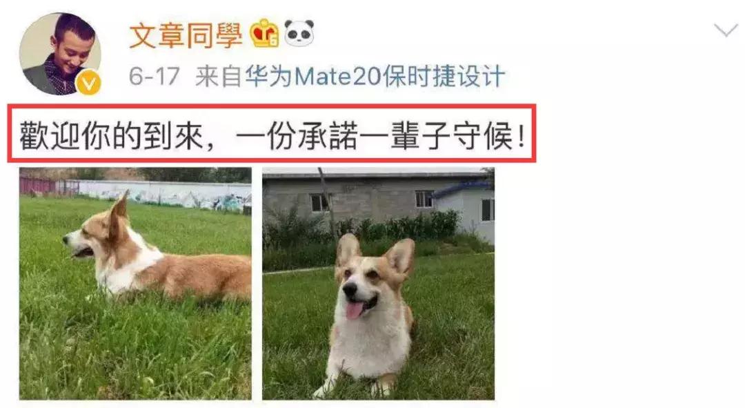 马伊琍一别两宽各自生欢,马伊琍说的经典一段话且行且珍惜