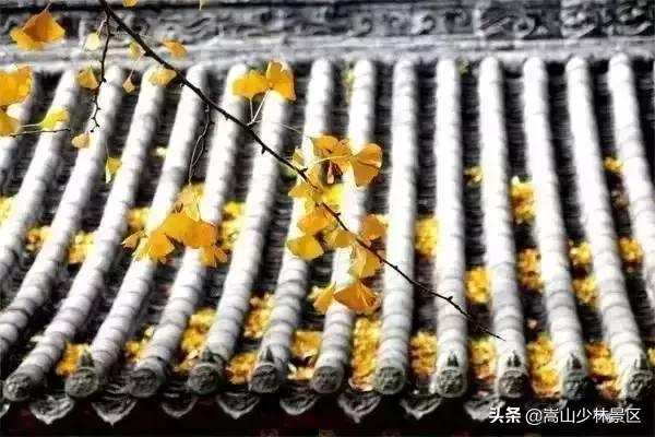 嵩山少林寺到底在哪里呢,嵩山真正的少林寺