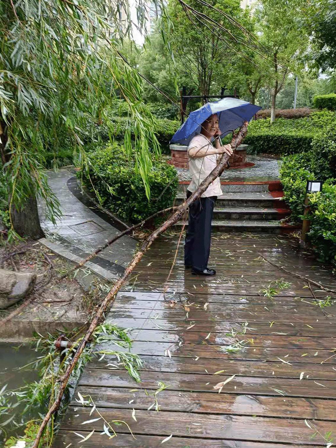 烟花来袭山东众志成城,烟花齐聚上海滩
