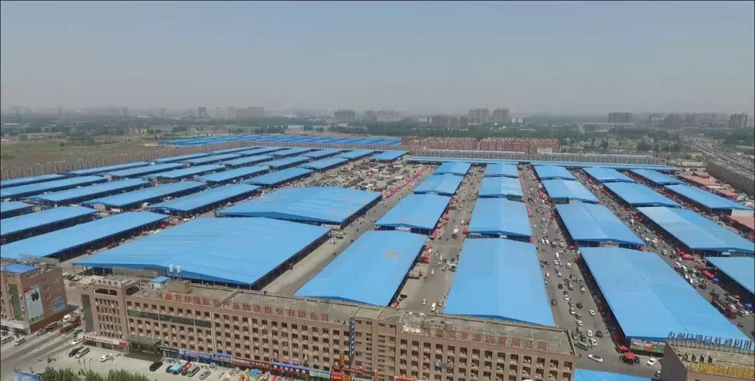 中国蔬菜批发市场大全,邓州菜农蔬菜批发市场在哪里