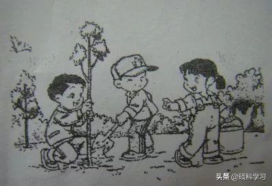 一二年级必考看图写话训练及范文,二年级看图写话写作技巧及练习