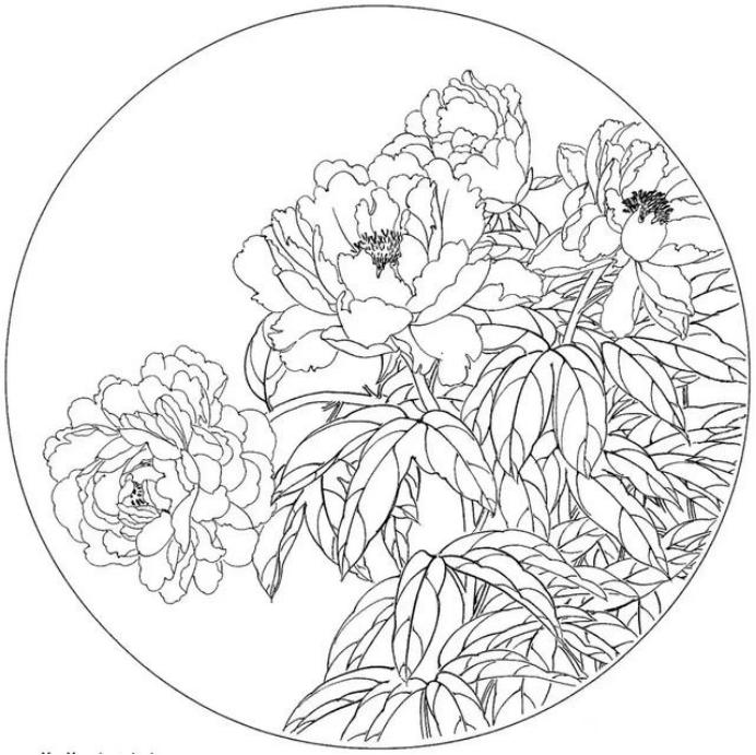 圆面白描作品古风,书法圆面白描作品集