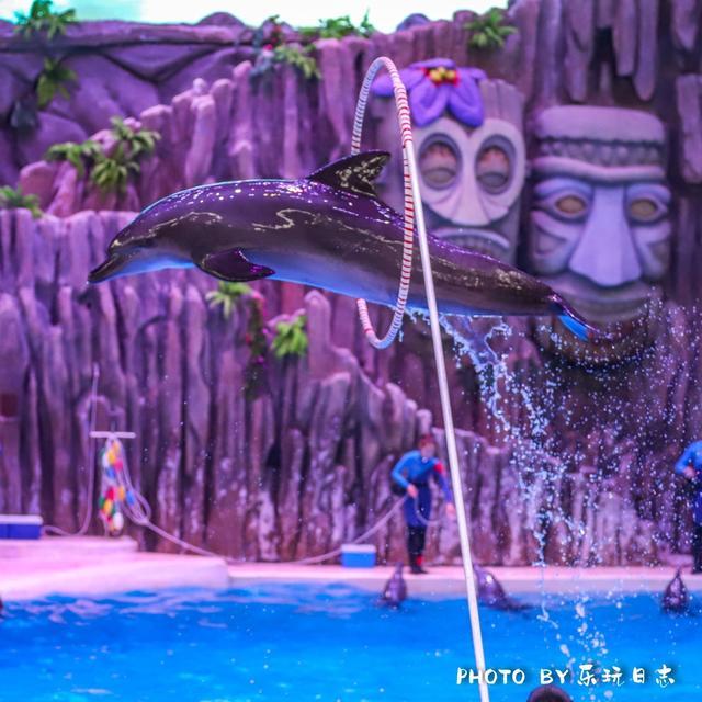 珠海亲子游必玩景点,珠海一日游适合带孩子玩的景点