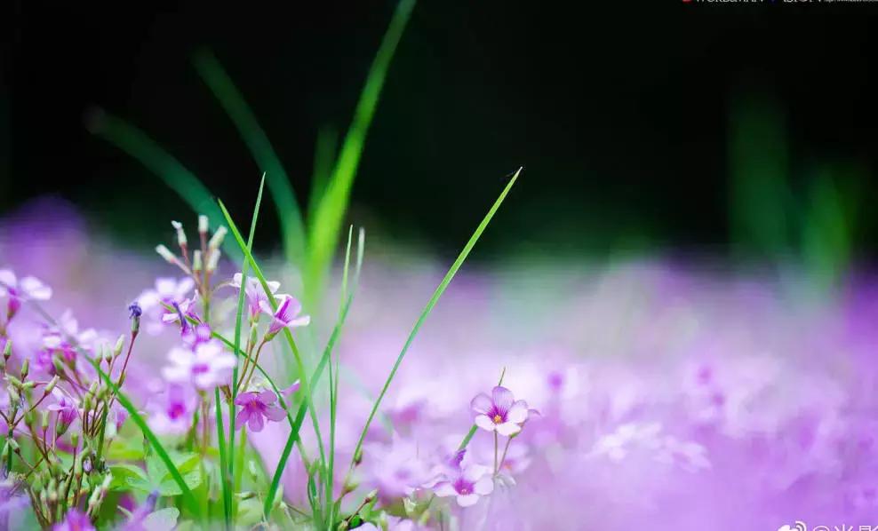 熊继柏纠正对中医的几个错误观念,熊继柏谈中医治疗