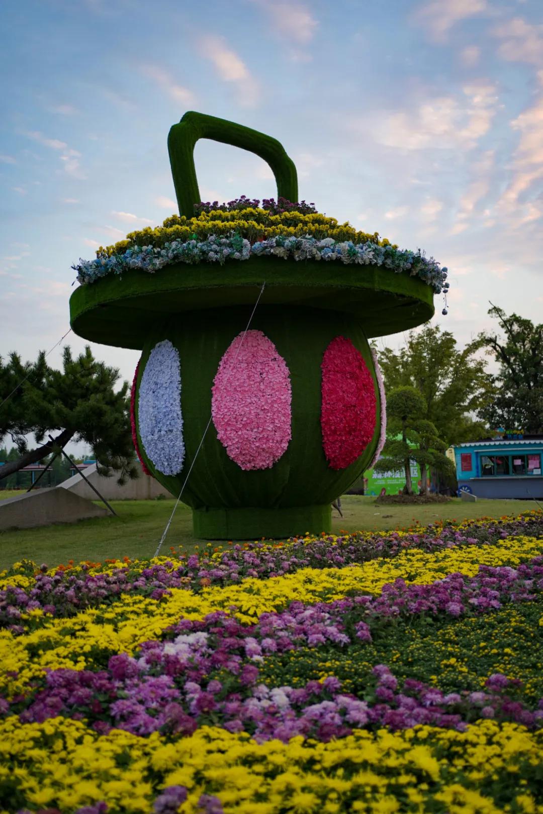 藏不住了！国庆节苏州这片花海美哭了！大人小孩玩到不想走