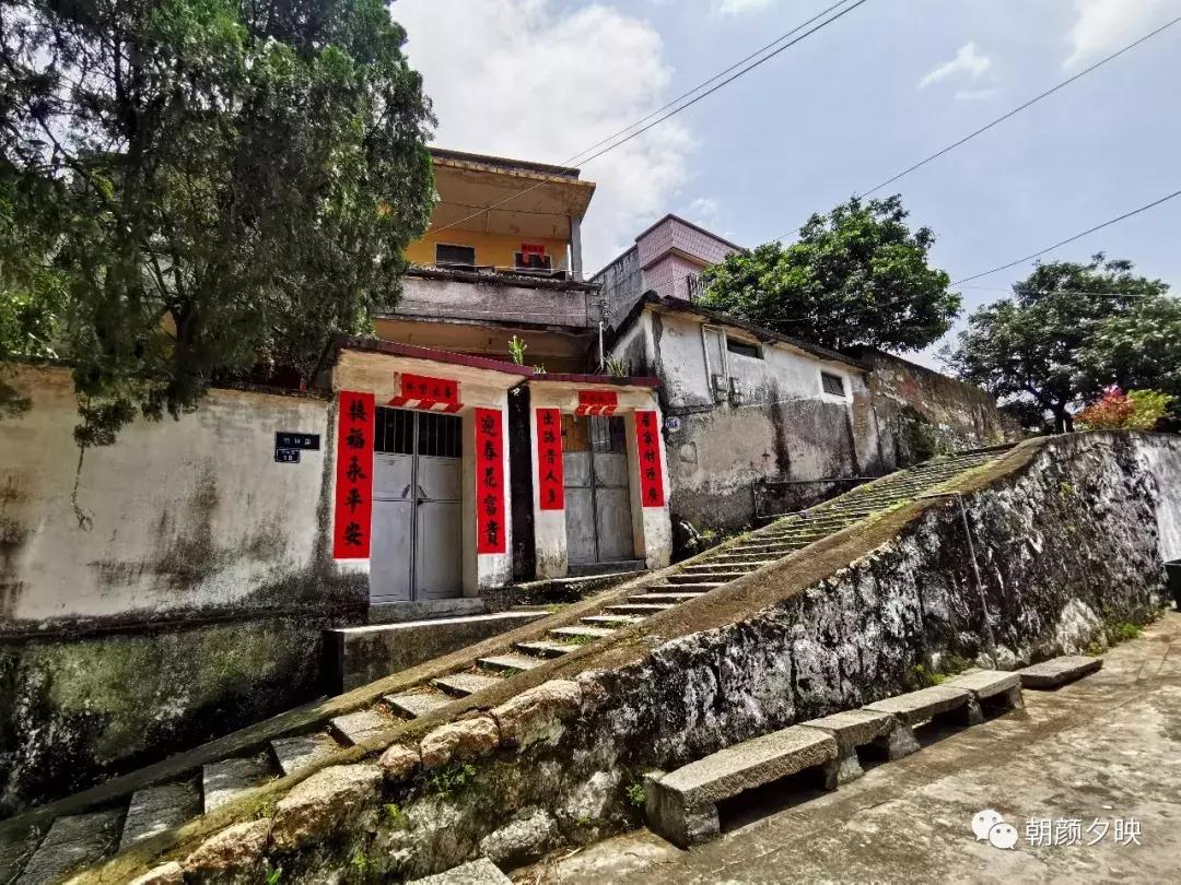 岐阳梧桐起凤环，鹭兮鹭兮寻不见（上）