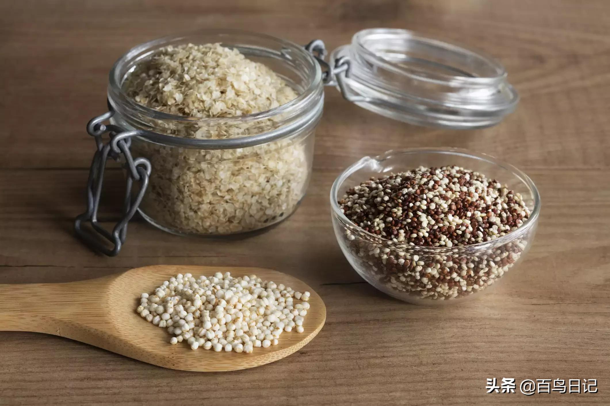 宠物鹦鹉吃什么食物最好,鹦鹉日常饮食怎么喂养最好