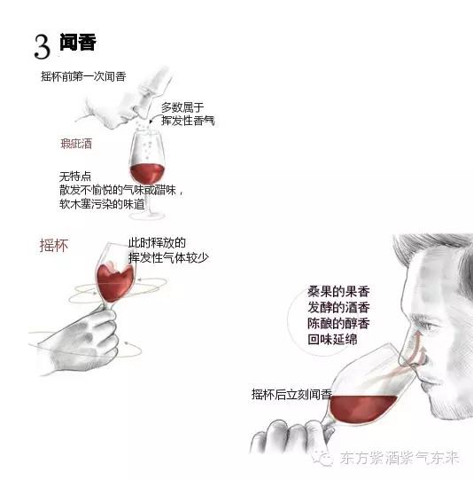 一杯紫酒，轻松周末，采摘品鉴邀您相约