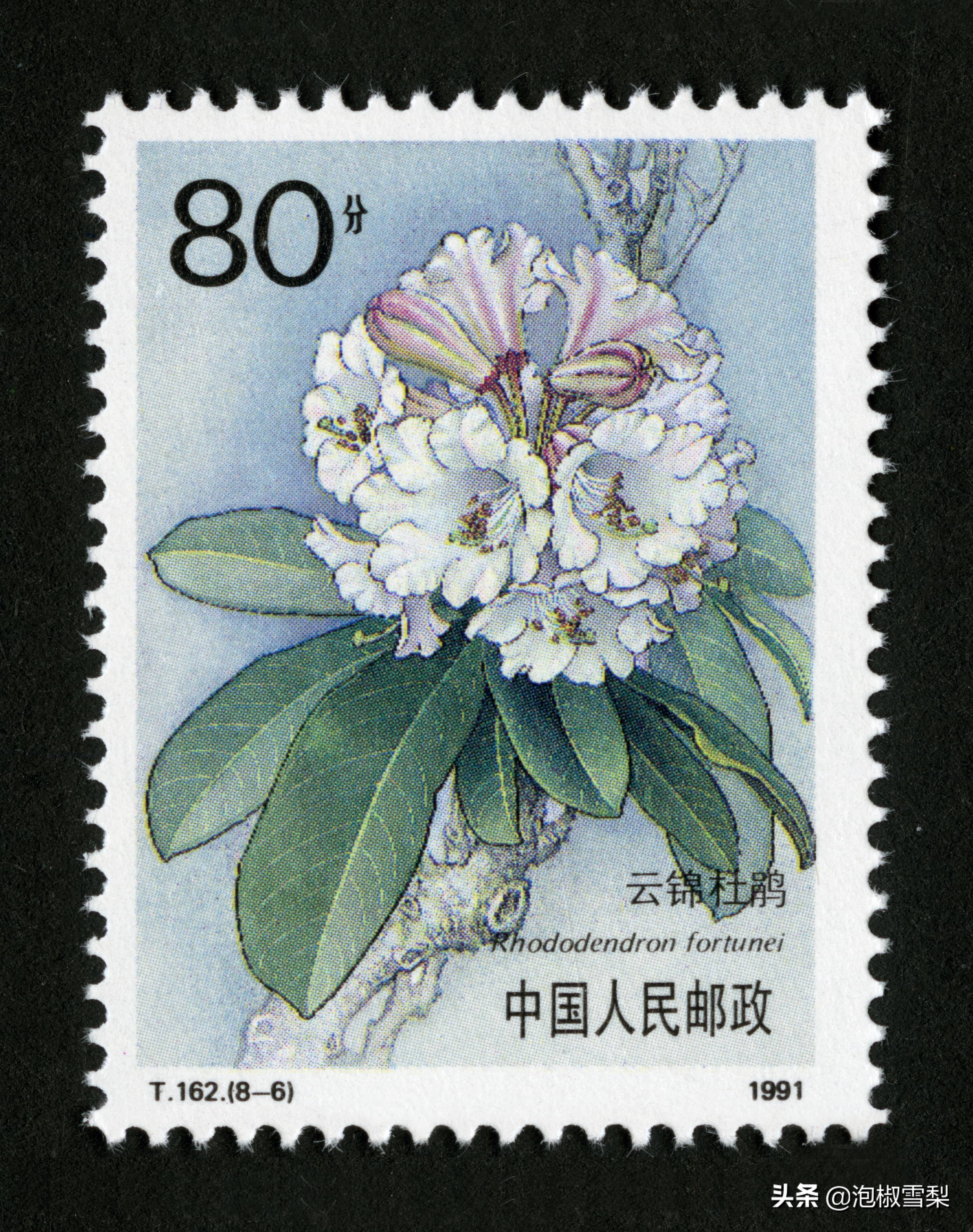 中国1991年发行的全部邮票图片｜陈胜吴广.计划生育.社会主义建设