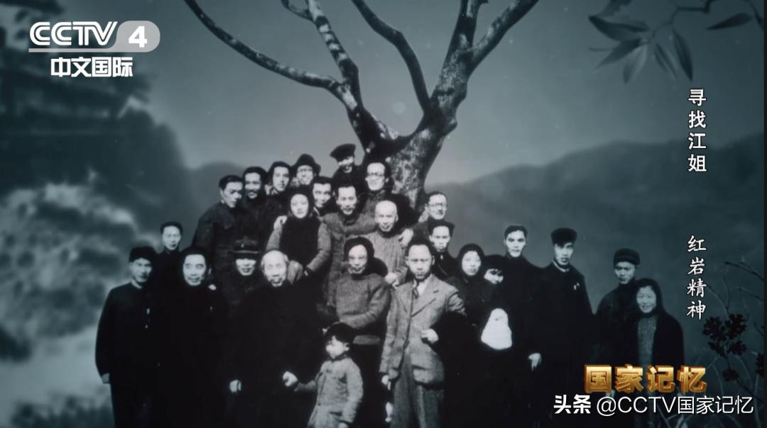 闈炰汉鎶樼（灏忚,闈炰汉鎶樼（