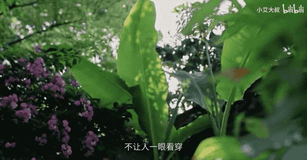 杭州红木家具别墅,杭州中式豪宅红木