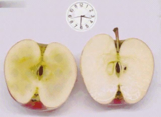 冬天脸干，连皱纹都出来了？日本女博士教你一招，抹几下白白嫩嫩