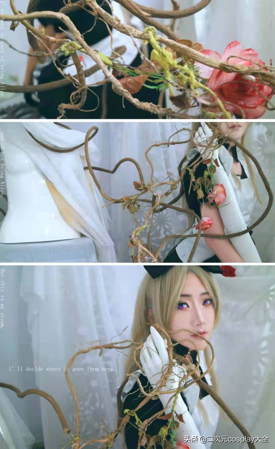 黑塔利亚娜塔莎阿尔洛夫斯卡娅,cos娜塔莎黑塔利亚