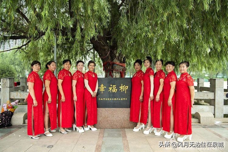 济南的法国梧桐,济南梧桐树美景