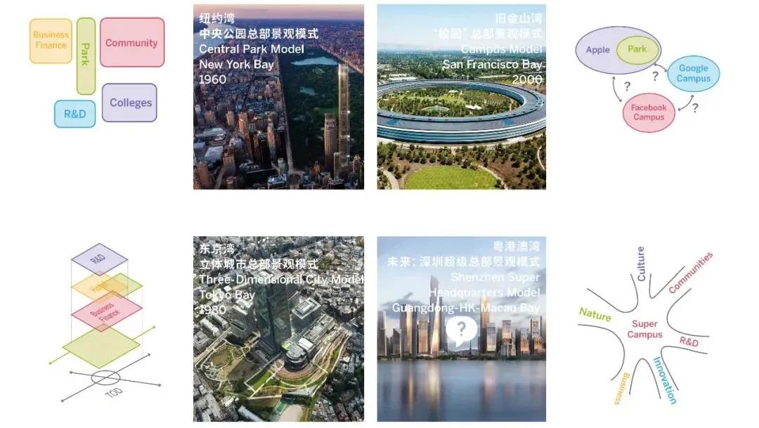 深圳湾超级总部基地绿化,深圳湾超级基地