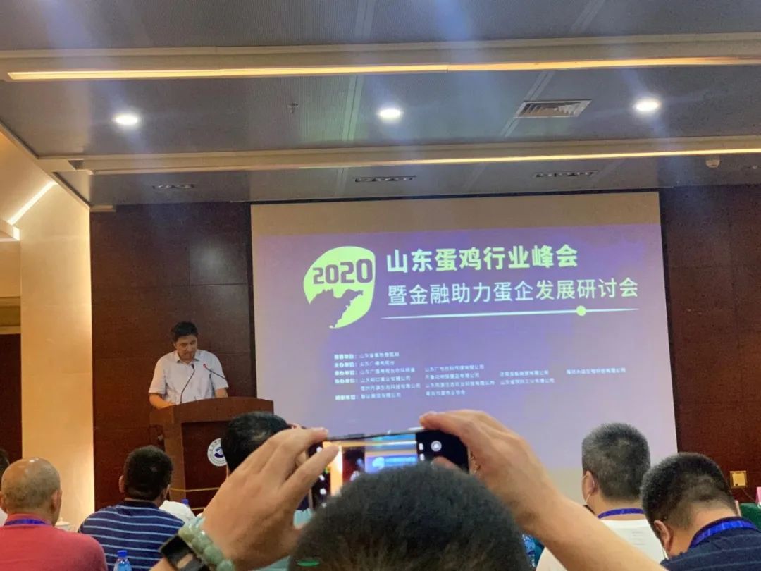 2020年鸡蛋价格,2020年11月1日全国鸡蛋价格行情