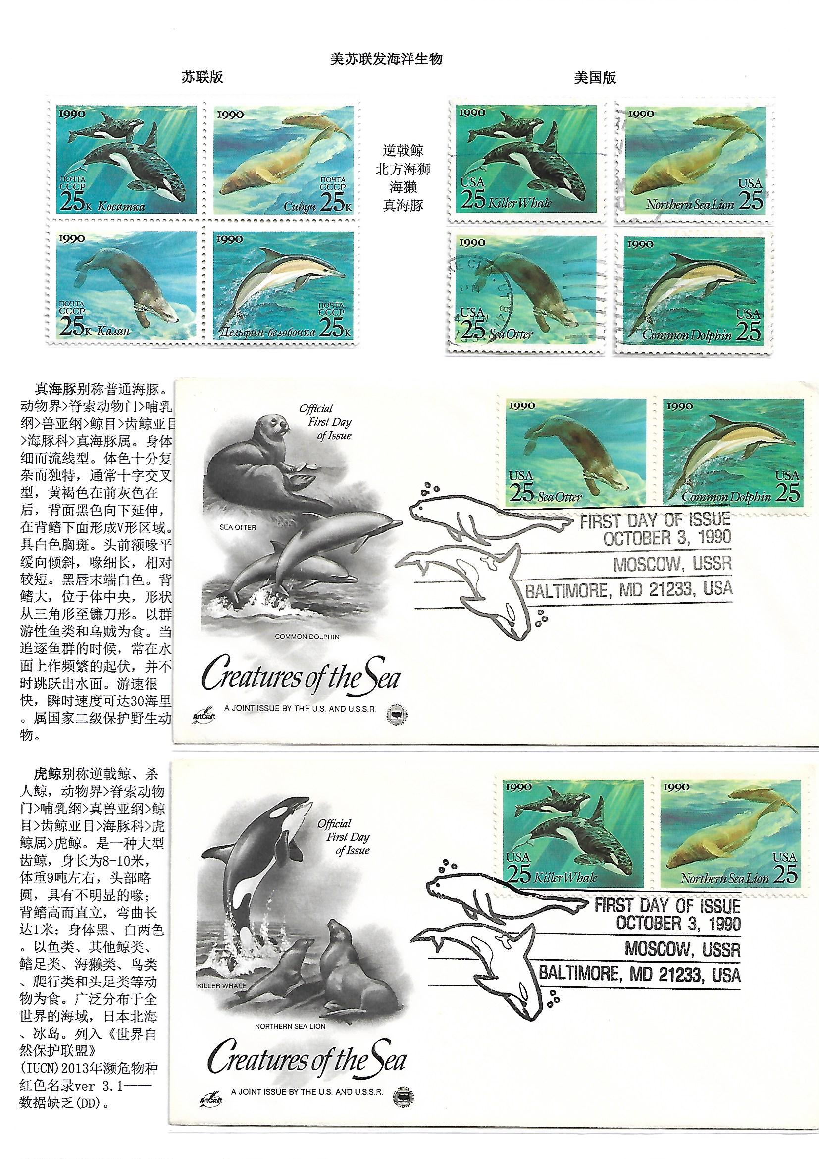 鲸和鲨（WhaleShake）