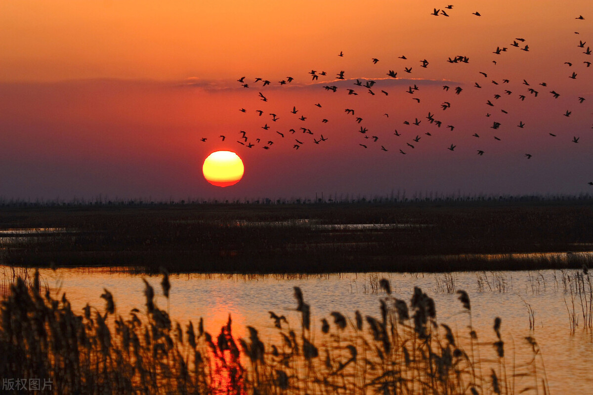第七次人口普查江苏各城市总人口,七普数据江苏浙江