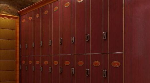 浴室电子感应更衣柜,公共浴室更衣柜如何挑选